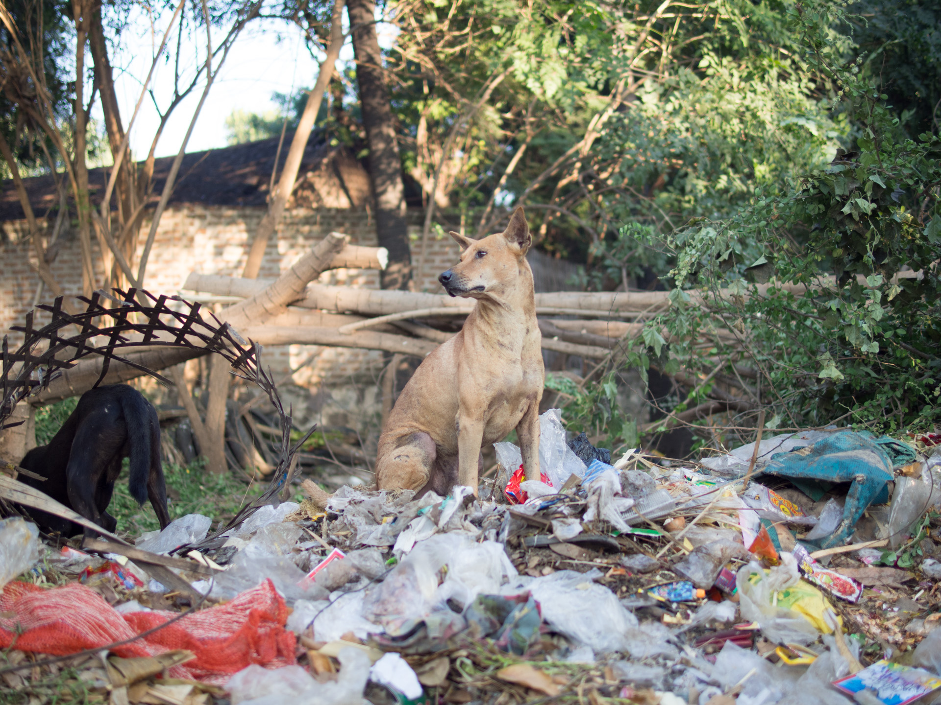 Plastic waste is at every corner of the world.
