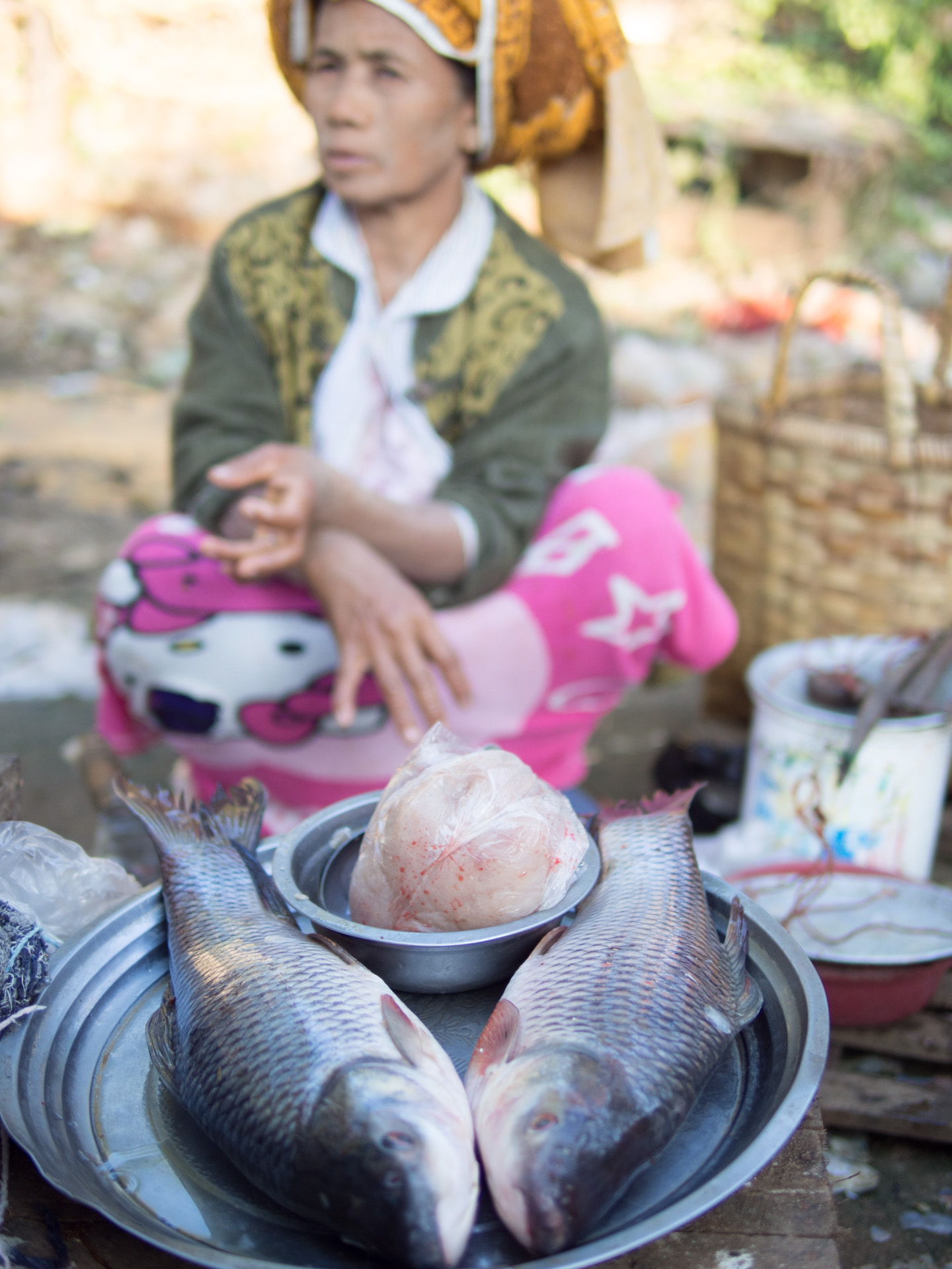 The biggest fishes of the whole market